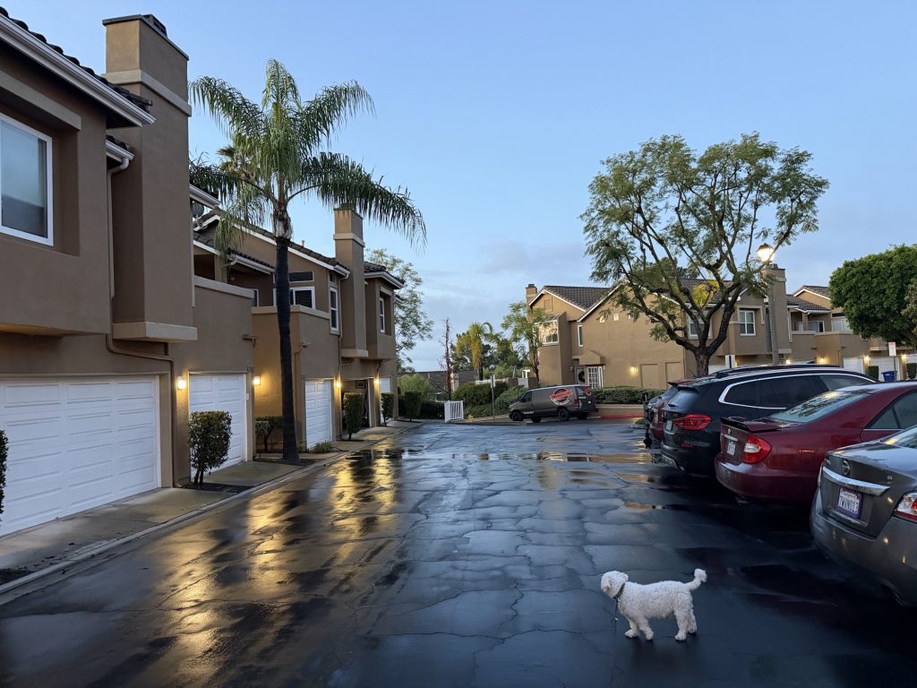 Rain in Montecido on January 5, 2026